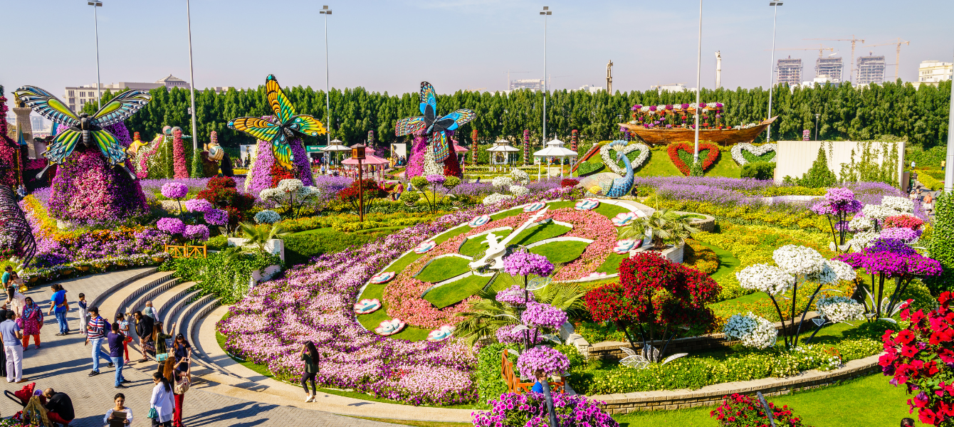 Dubai Butterfly Garden